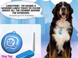 Собаки смогут вести микроблог на Twitter