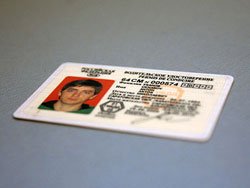 ГИБДД начала оформлять водительские права через интернет